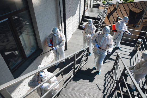  Port Allegany, PA Mold Removal Pros