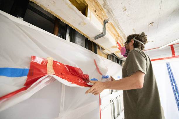 Best Mold Documentation for Insurance Claims  in Port Allegany, PA