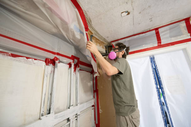 Best Real Estate Mold Inspection  in Port Allegany, PA