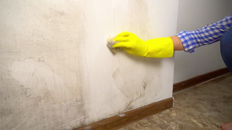 Best Mold Remediation for Healthcare Facilities  in Port Allegany, PA